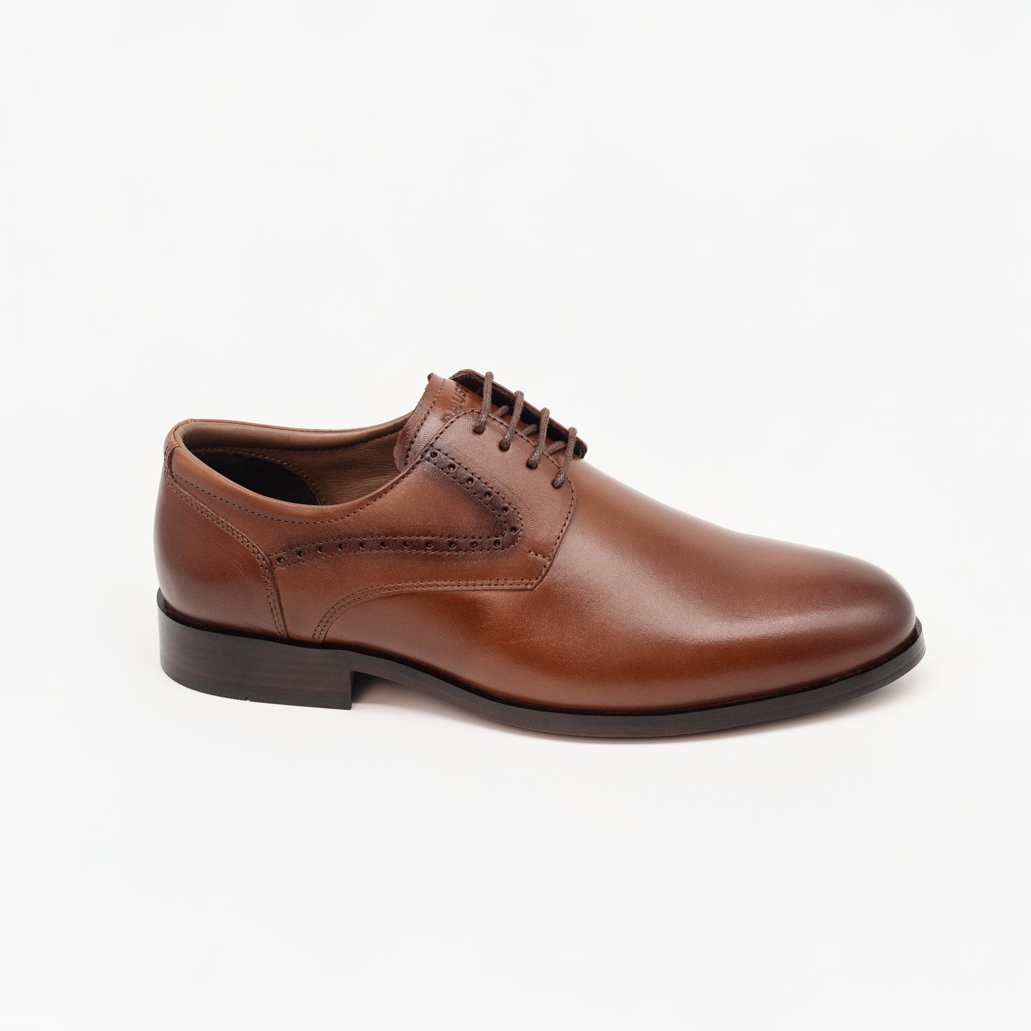 Zapatos Titán - Marrón