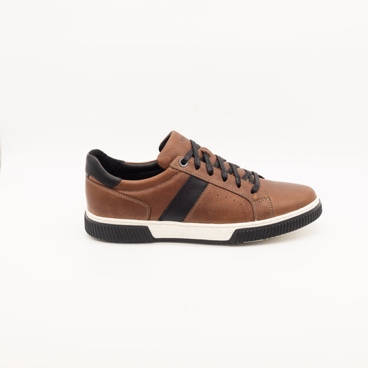 Zapatillas Olimpo  - Marrón