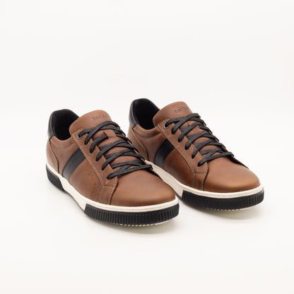 Zapatillas Olimpo  - Marrón